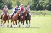 UKPA NC SAT_2487